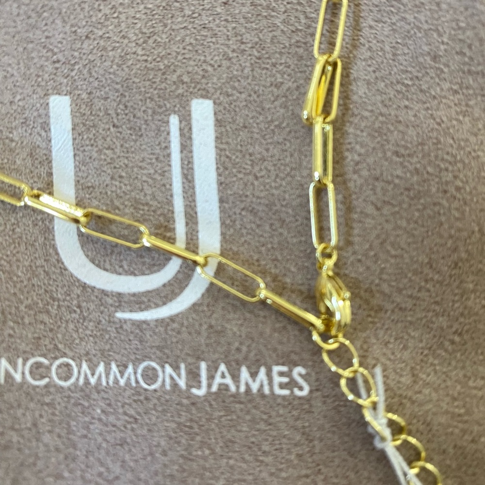 NWT Uncommon James Gold Medallion Necklace 15" - 17" Lobster Clasp - Picture 5 of 9